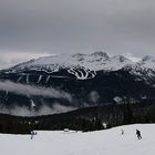 Whistler Mountain