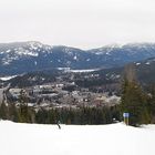 Whistler View