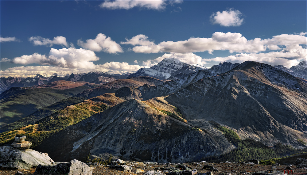 Whistler's Peak