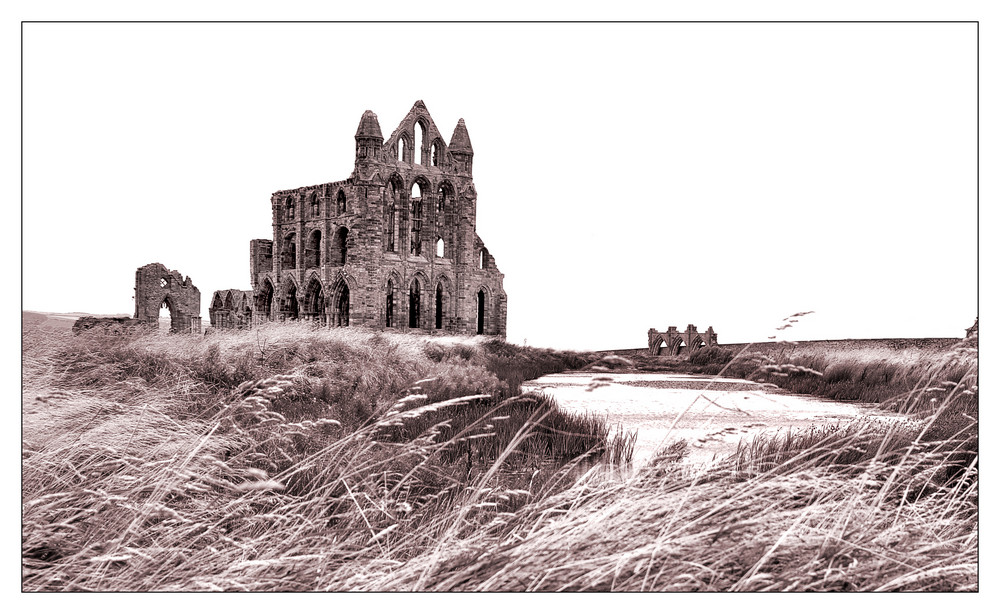 Whitby Abbey (2)