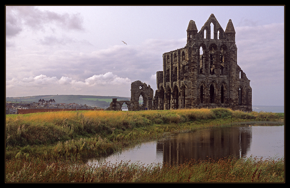 Whitby Abbey