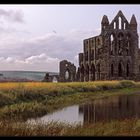 Whitby Abbey