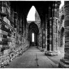 Whitby Abbey II