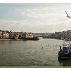 Whitby Harbour