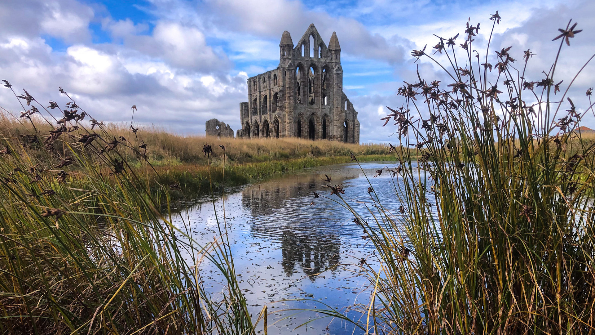 …Whitby|Abbey…