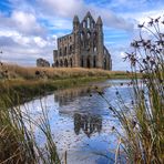 …Whitby|Abbey…