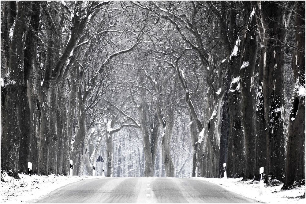 ** white alley **