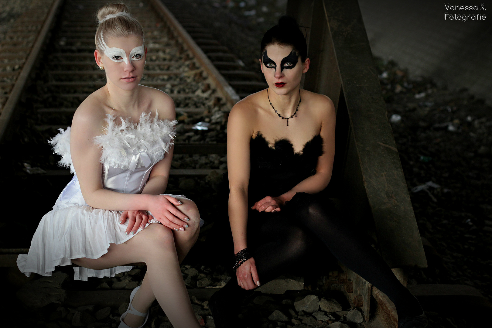 White and Black Swan