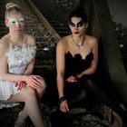 White and Black Swan