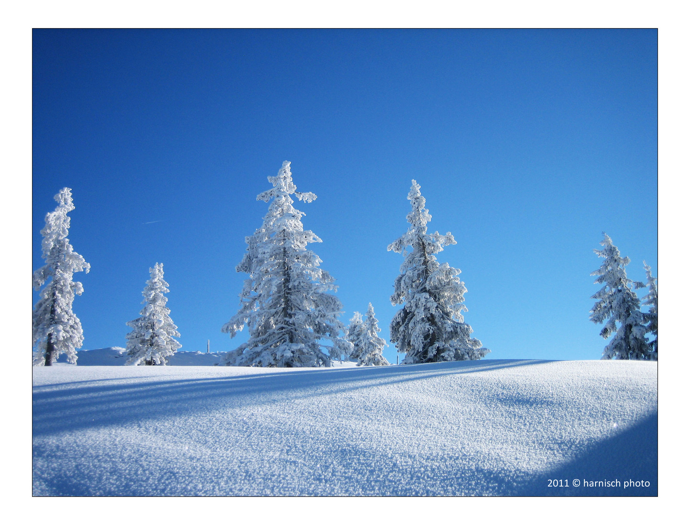 White and blue