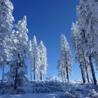 white and blue in nature