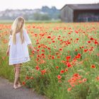 white and red