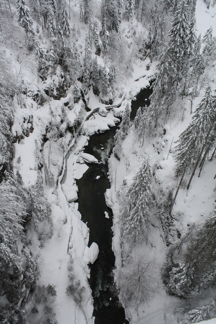 White Austria