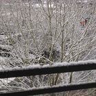 White balcony view...