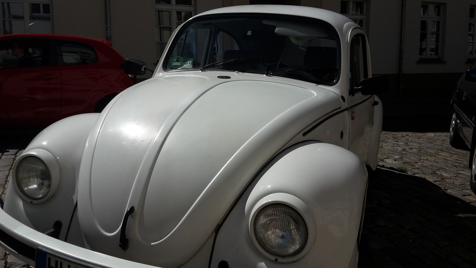 White Beetle