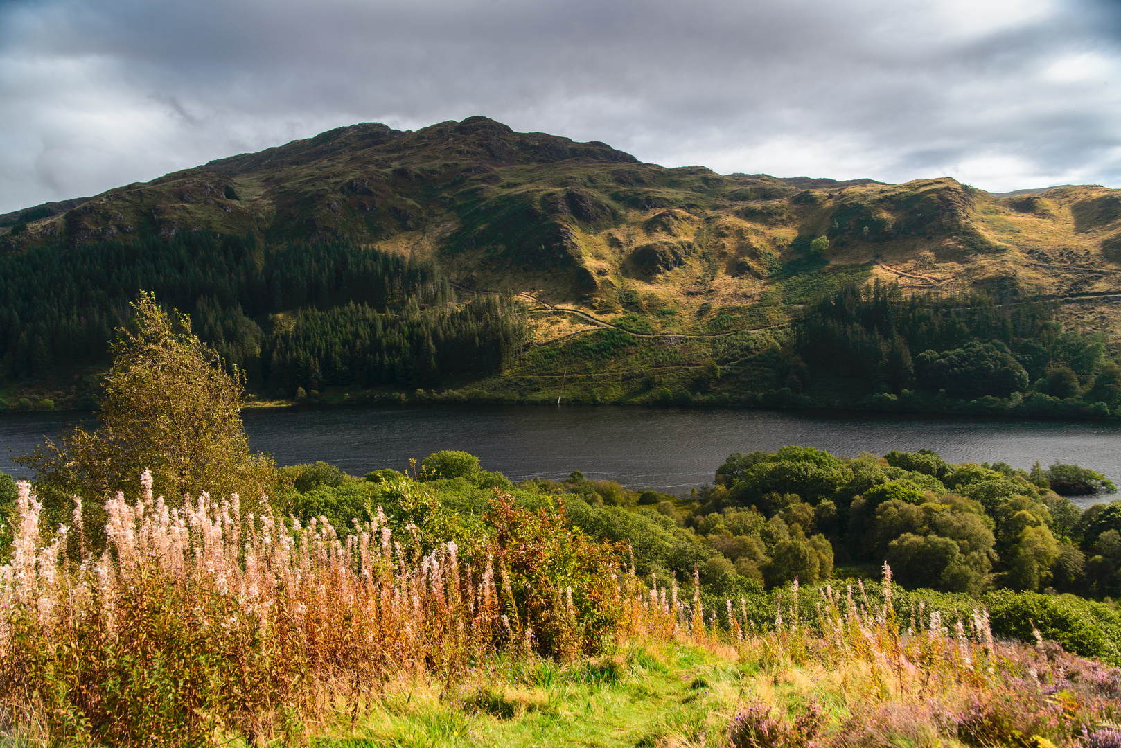  [ White Bennan (Glen Trool) ]