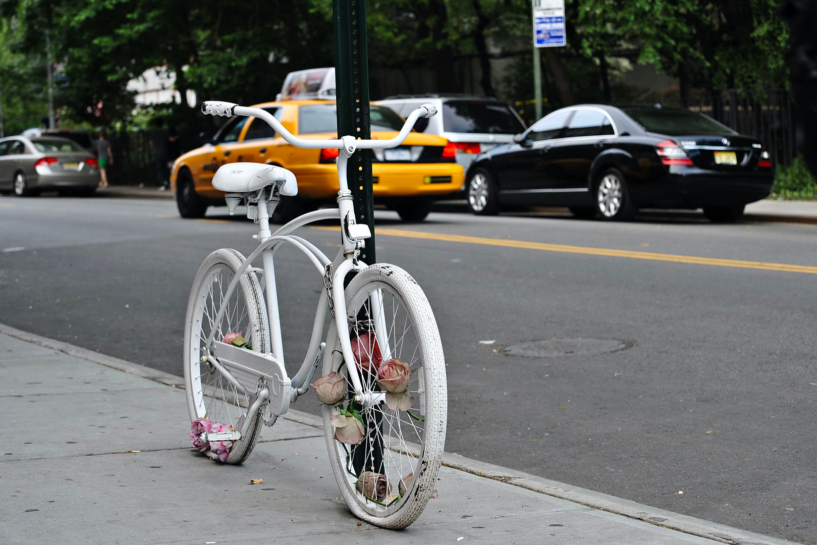 white bicycle 02