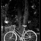 White Bike