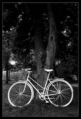 White Bike