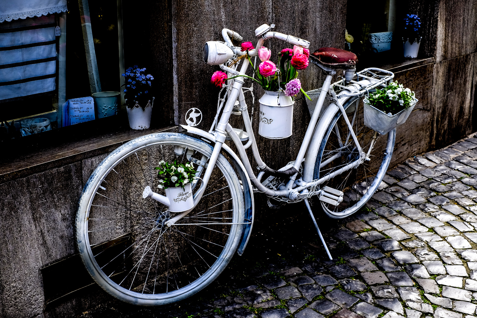 White Bike