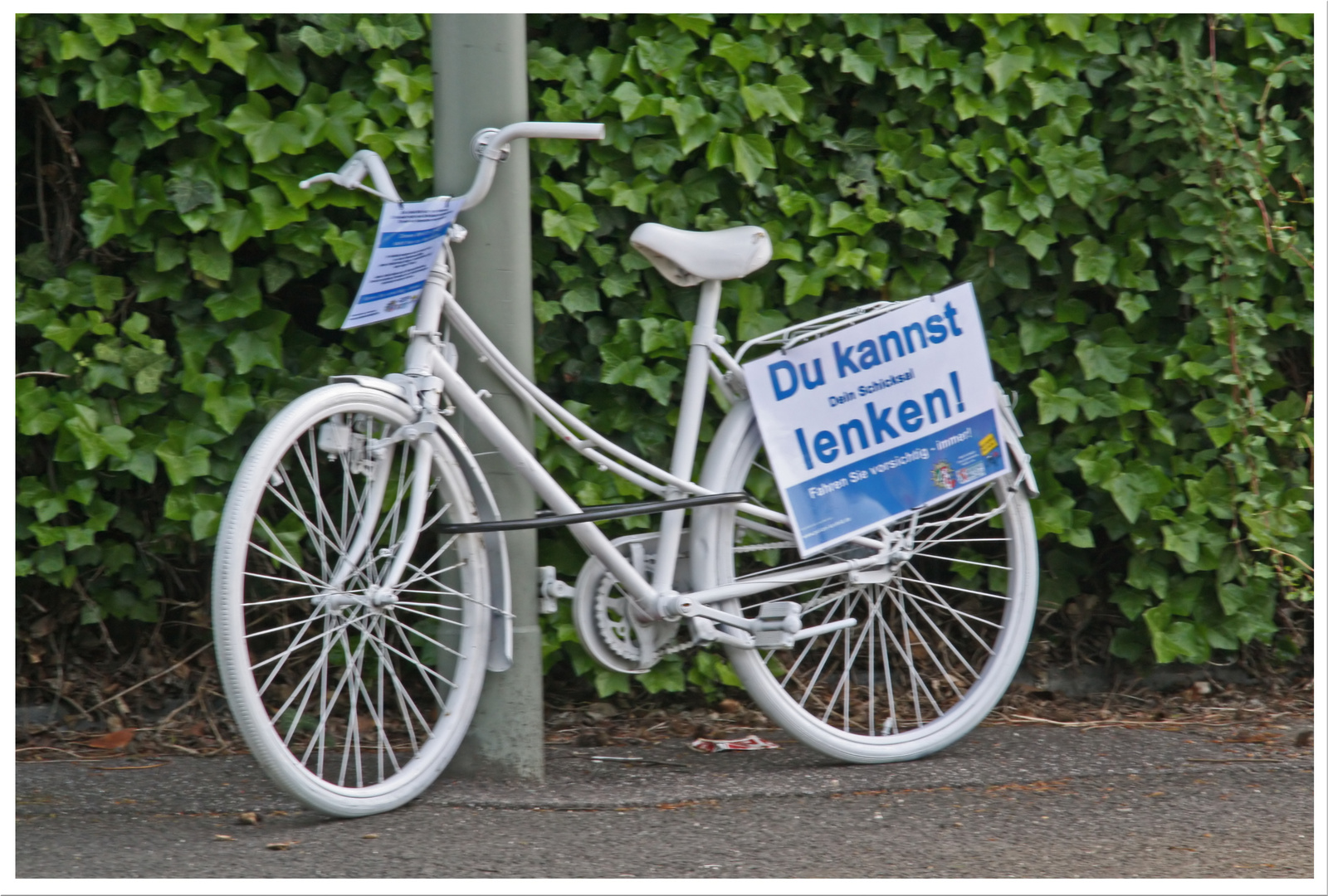 WHITE-BIKES