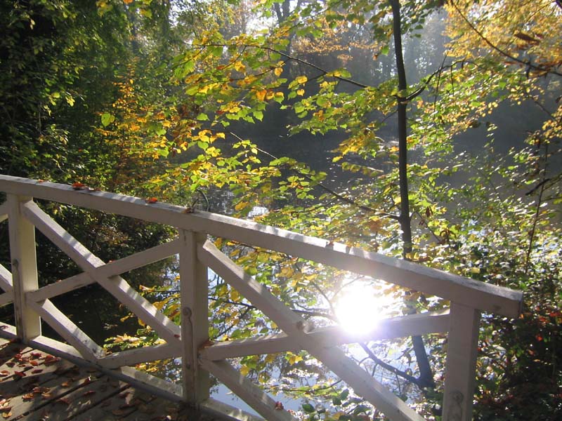 white bridge II - Der Herbst naht...