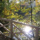 white bridge II - Der Herbst naht...