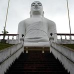 White Buddha, I