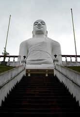 White Buddha, I