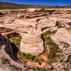 White Canyon, Natural Bridges National Monument, Utah, USA