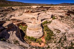 White Canyon, Natural Bridges National Monument, Utah, USA