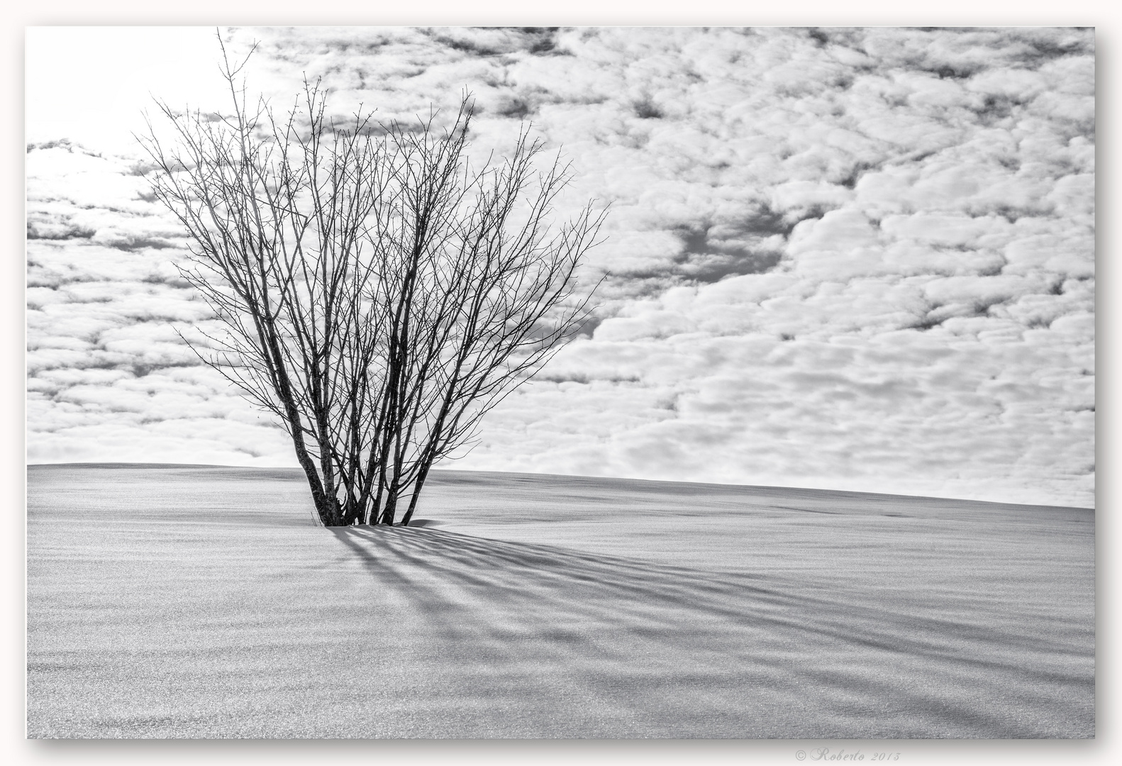 White carpet