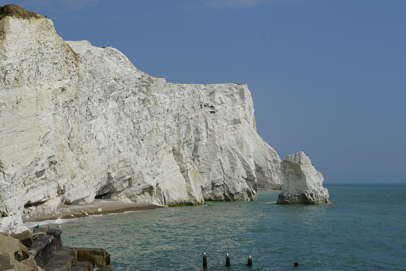 White Cliffs - Seven Sisters