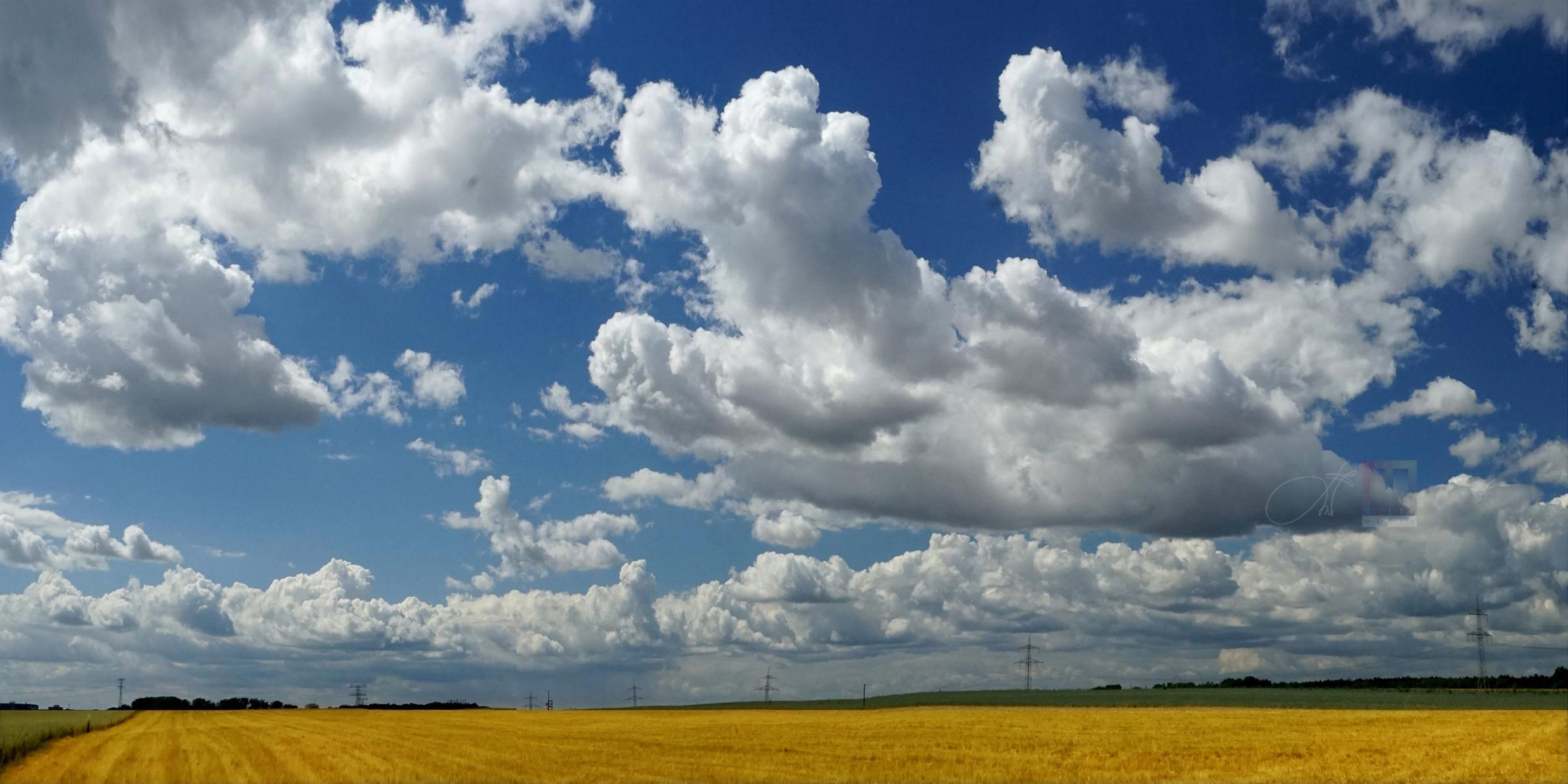 White clouds fly on golden fields