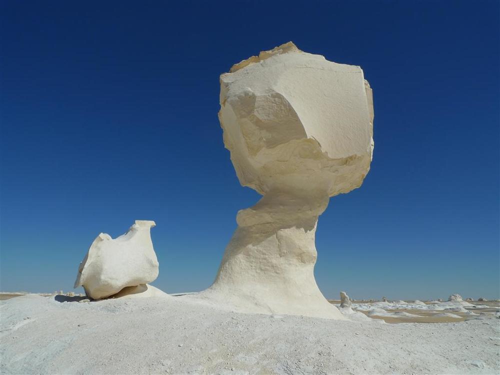 white-desert