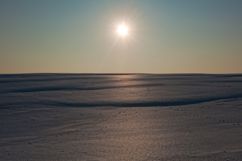 white desert