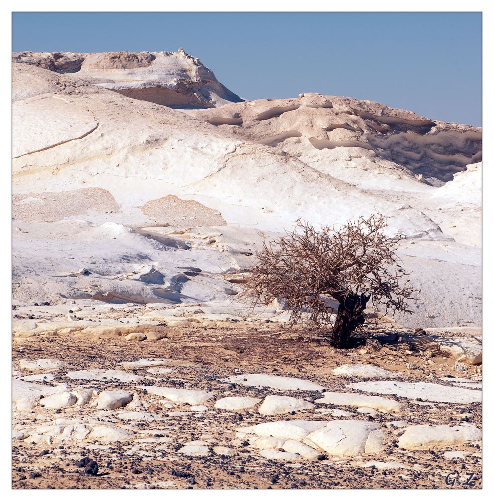 White Desert Elements XI