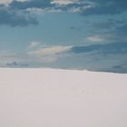 White dog in White Sands