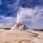 White Dome Geyser, Yellowstone NP, Wyoming, USA