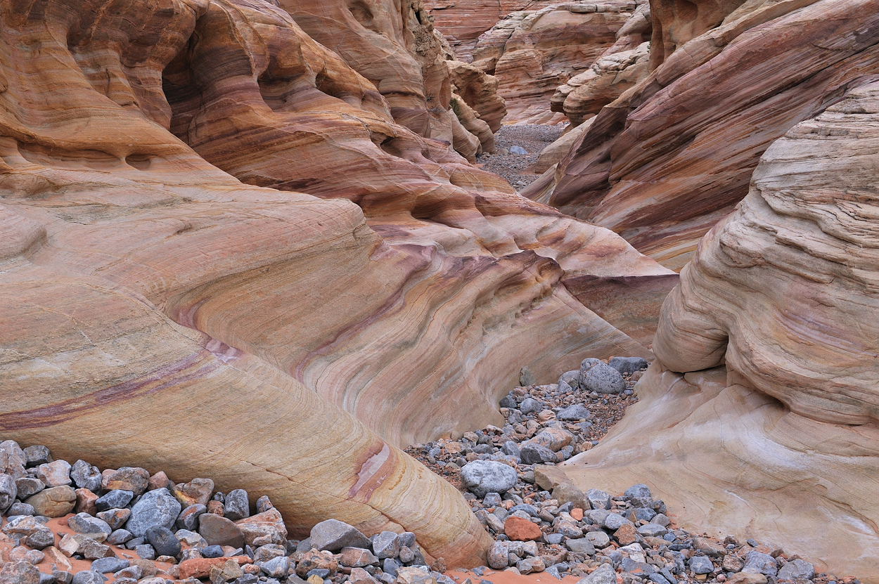 *White Domes Canyon*