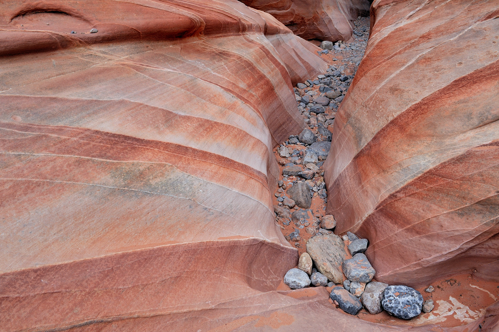 *White Domes Loop Trail Detail*