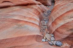 *White Domes Loop Trail Detail*