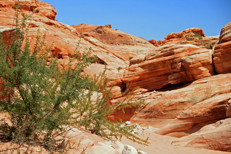 white domes trail