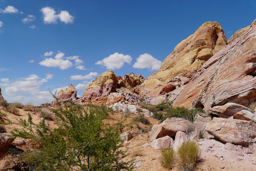 White Domes Trail