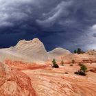 White Doms after Thunderstorm - September 2014