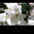 White Dreams II