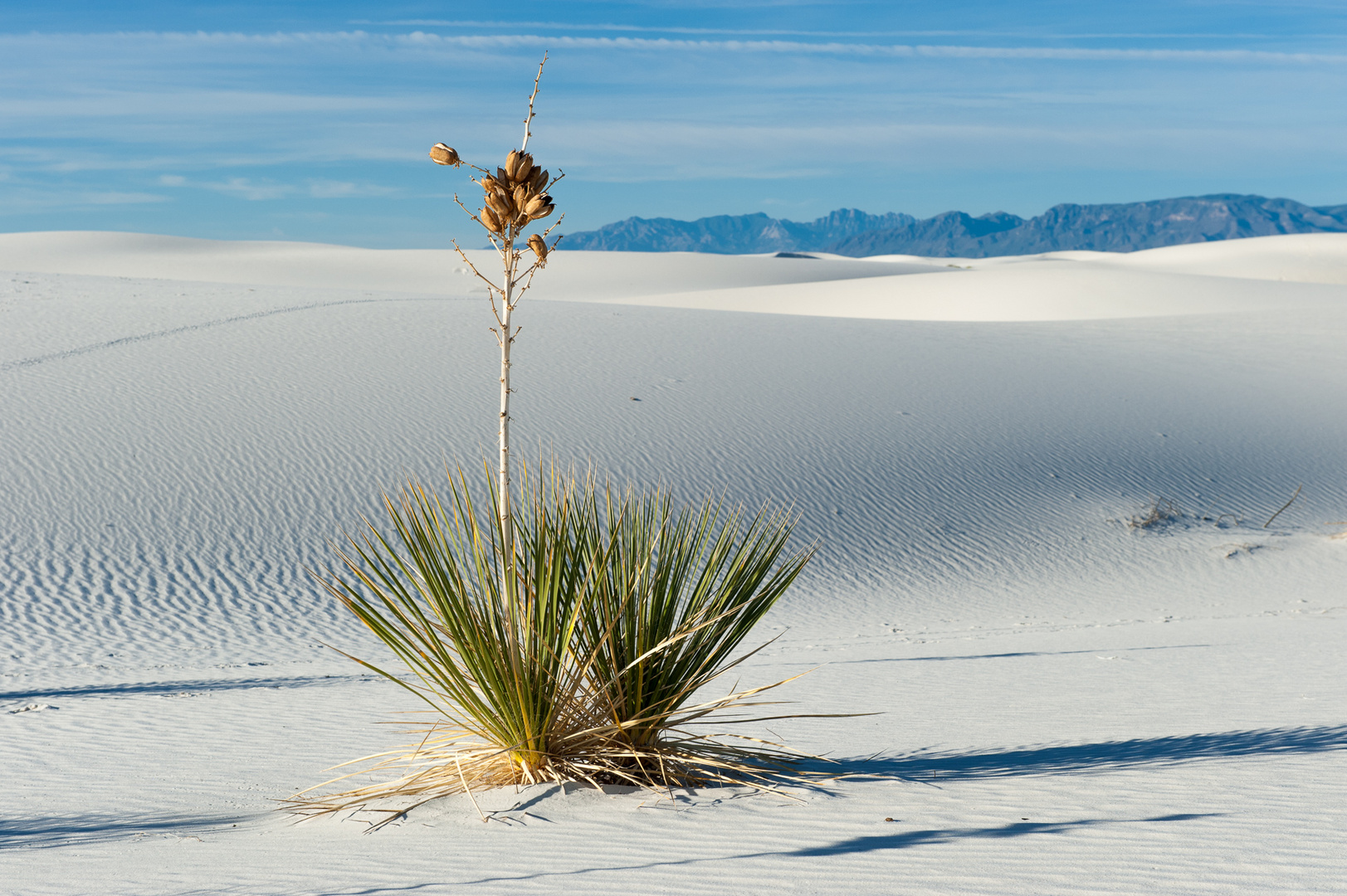 White Dunes