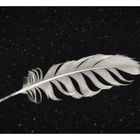 [...White Feather]