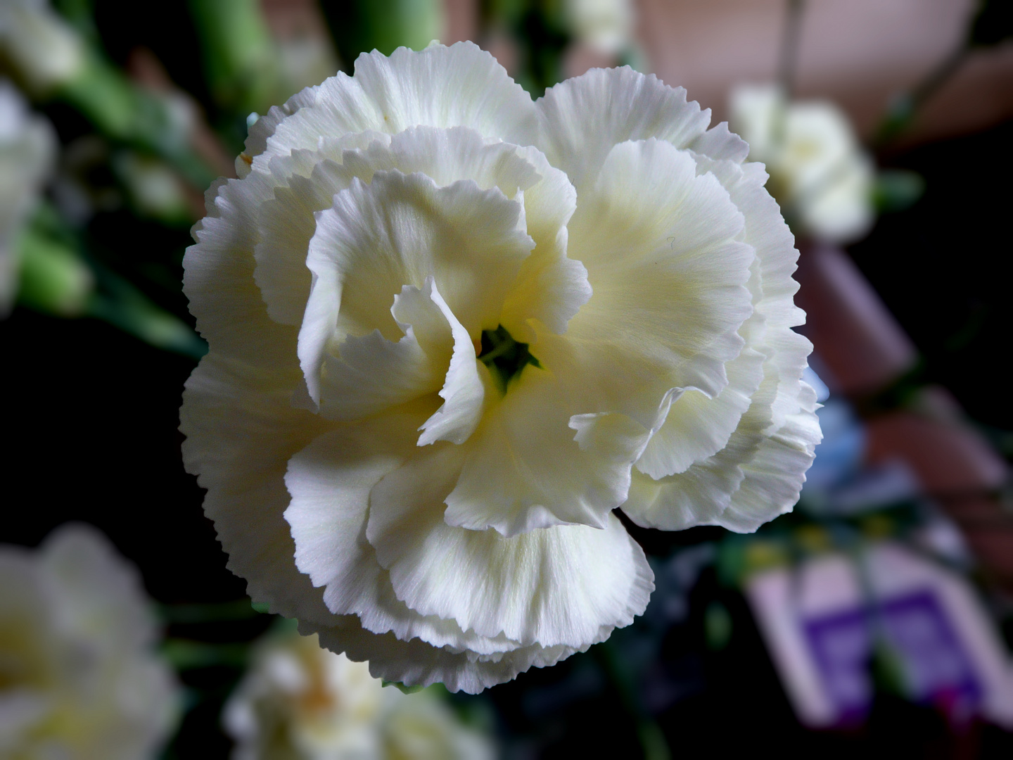 White Flower