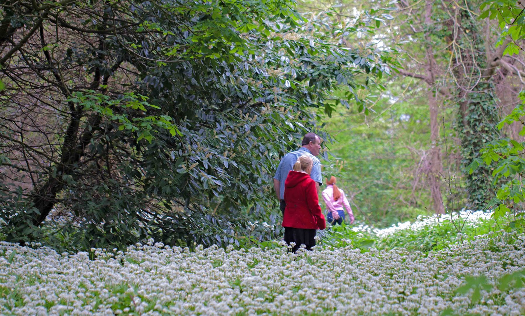 White Flower walker